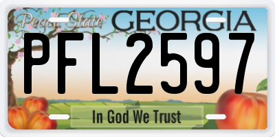 GA license plate PFL2597