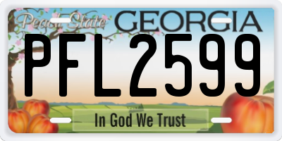 GA license plate PFL2599