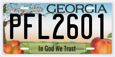 GA license plate PFL2601