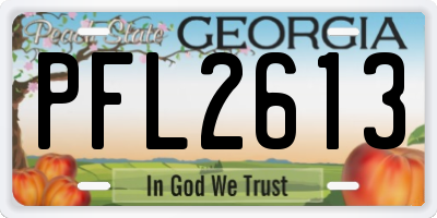 GA license plate PFL2613