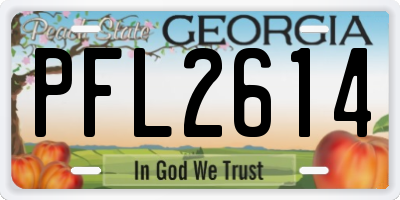 GA license plate PFL2614