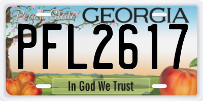 GA license plate PFL2617