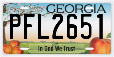 GA license plate PFL2651