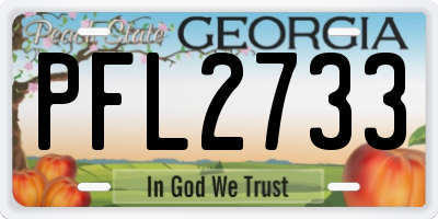 GA license plate PFL2733