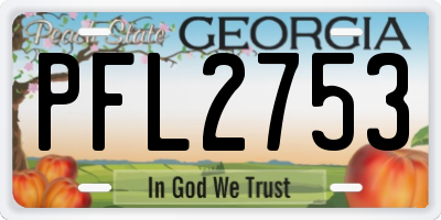 GA license plate PFL2753