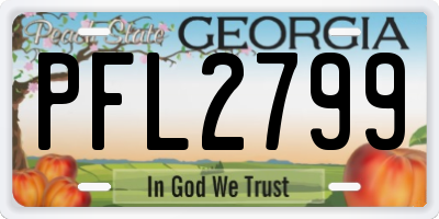 GA license plate PFL2799