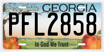GA license plate PFL2858