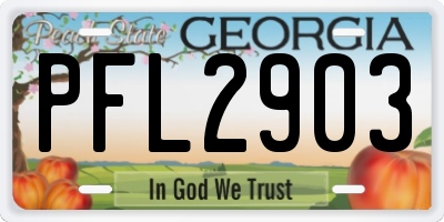 GA license plate PFL2903