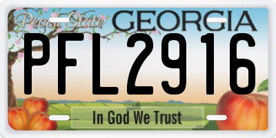GA license plate PFL2916