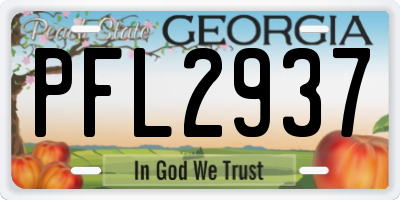 GA license plate PFL2937