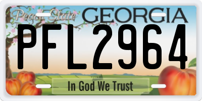GA license plate PFL2964