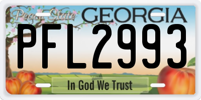 GA license plate PFL2993