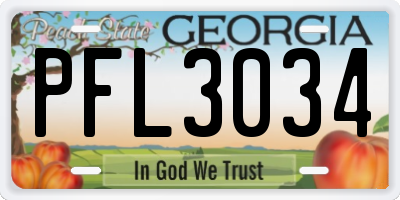 GA license plate PFL3034