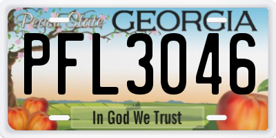 GA license plate PFL3046