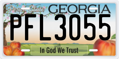 GA license plate PFL3055