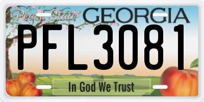 GA license plate PFL3081