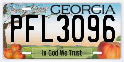 GA license plate PFL3096