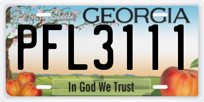 GA license plate PFL3111