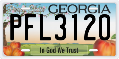 GA license plate PFL3120