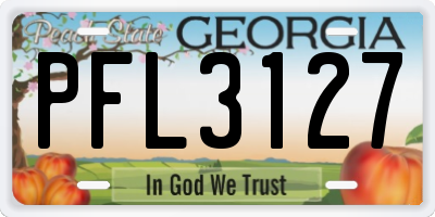 GA license plate PFL3127