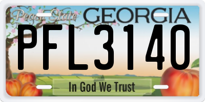 GA license plate PFL3140