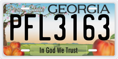 GA license plate PFL3163
