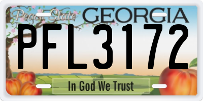 GA license plate PFL3172