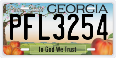 GA license plate PFL3254