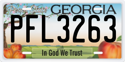 GA license plate PFL3263