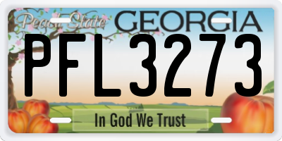 GA license plate PFL3273