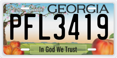 GA license plate PFL3419
