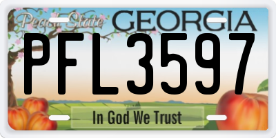 GA license plate PFL3597