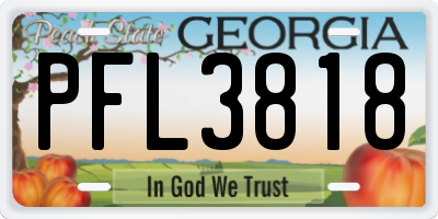 GA license plate PFL3818
