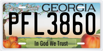 GA license plate PFL3860