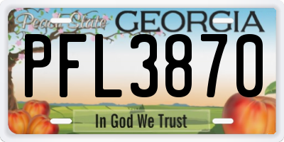 GA license plate PFL3870