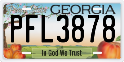 GA license plate PFL3878