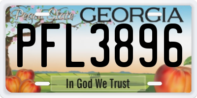 GA license plate PFL3896