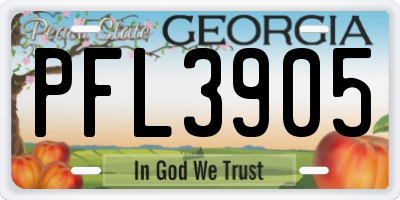 GA license plate PFL3905