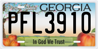 GA license plate PFL3910