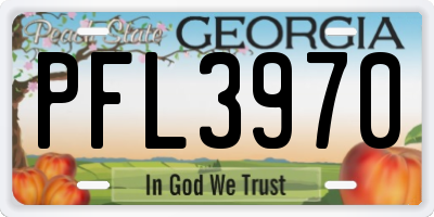GA license plate PFL3970