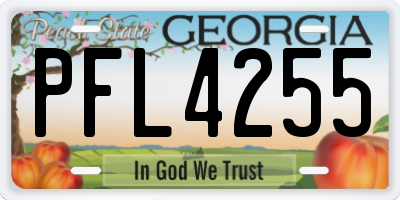 GA license plate PFL4255