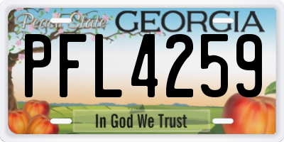 GA license plate PFL4259