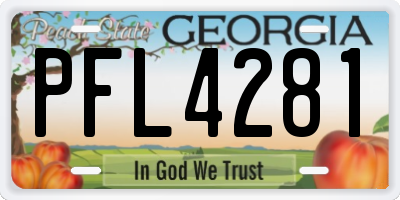 GA license plate PFL4281