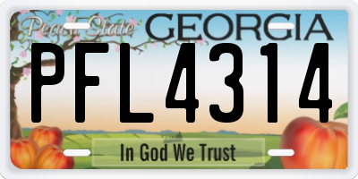 GA license plate PFL4314