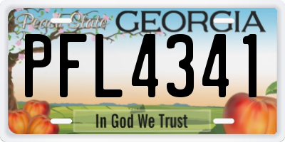 GA license plate PFL4341