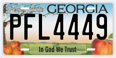 GA license plate PFL4449
