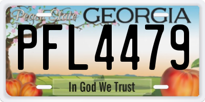 GA license plate PFL4479