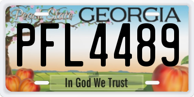 GA license plate PFL4489
