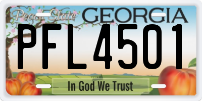 GA license plate PFL4501
