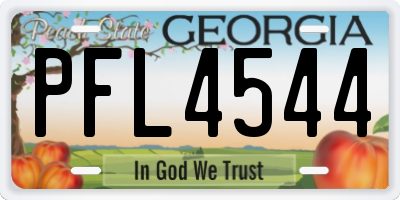GA license plate PFL4544